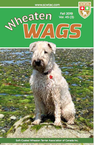 Wags_winter2019_cover